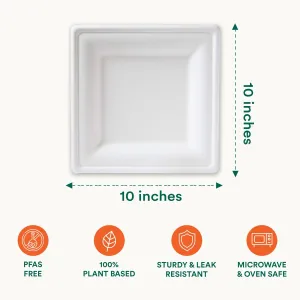 10" Compostable Pearl White Bagasse Square Plates - 100 Count