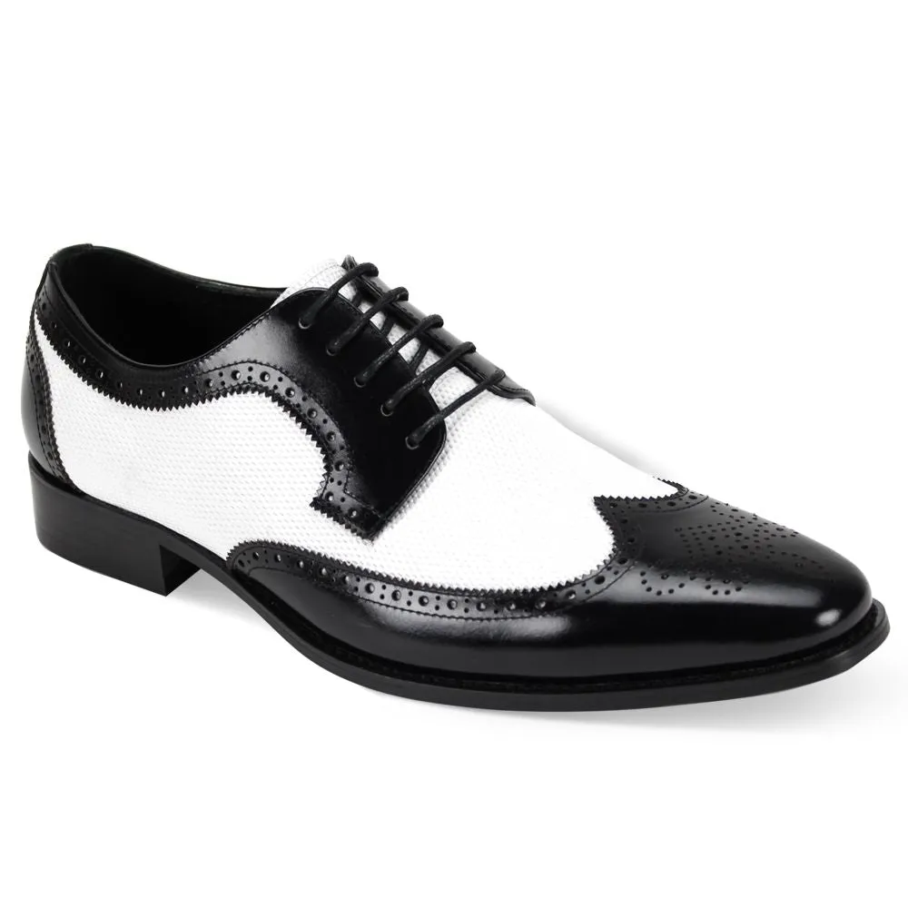 Giorgio Venturi 6881 Wingtip Leather Dress Shoes