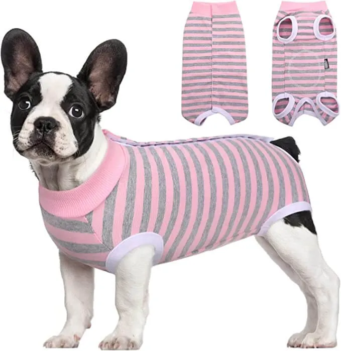 KUTKUT Kitten Puppy Recovery Suit, Surgery Recovery Suit for Female Dogs After Spay, Dog Cats Surgical Onesie with Pee Hole Collar Cone Alternative for Abdominal Wounds ( Pink)