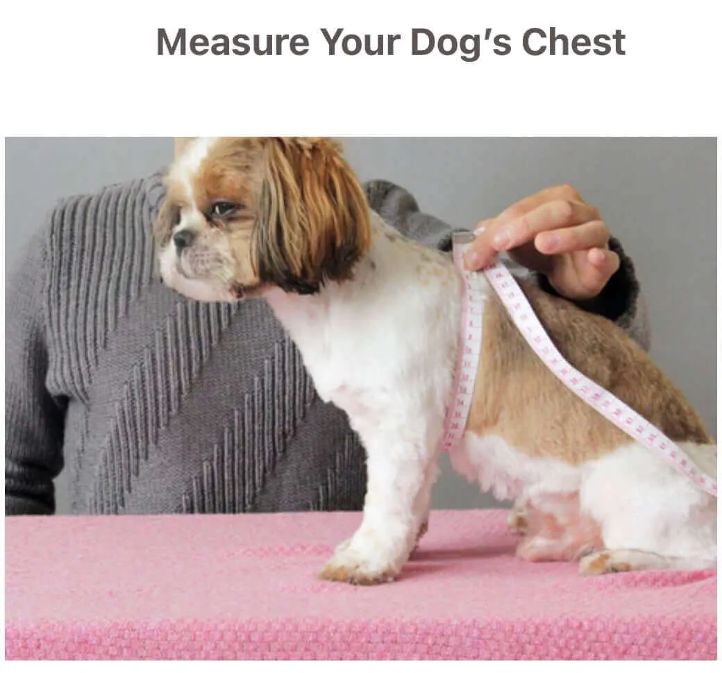 KUTKUT Kitten Puppy Recovery Suit, Surgery Recovery Suit for Female Dogs After Spay, Dog Cats Surgical Onesie with Pee Hole Collar Cone Alternative for Abdominal Wounds ( Pink)