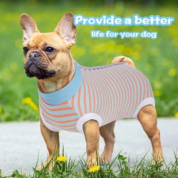 KUTKUT Puppy Kitten Surgical Suit, Surgery Recovery Suit for Female Dogs After Spay, Dog Cats Surgical Onesie with Pee Hole Collar Cone Alternative for Abdominal Wounds (Blue)