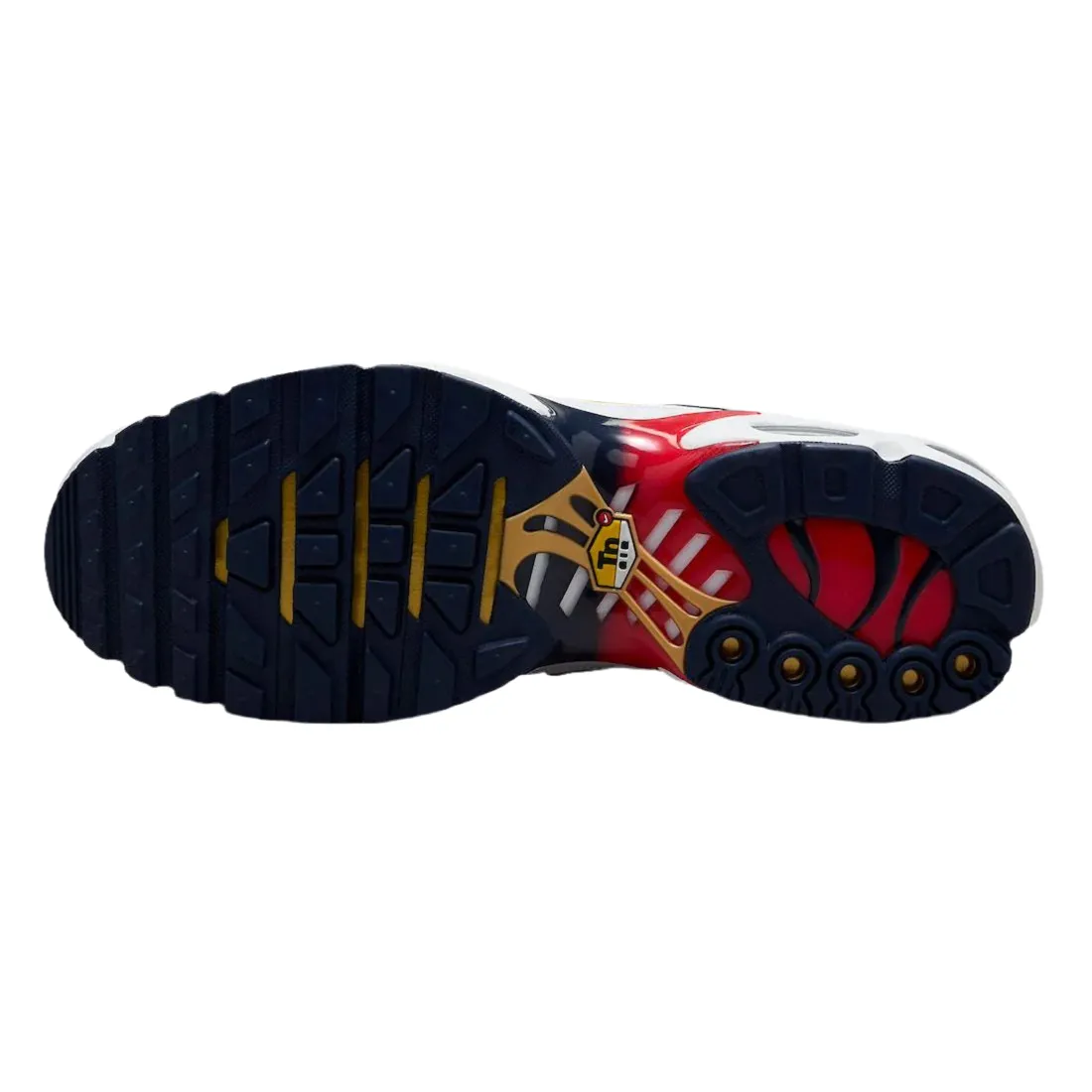 Nike Air Max Plus TN x Paris Saint-German (PSG)