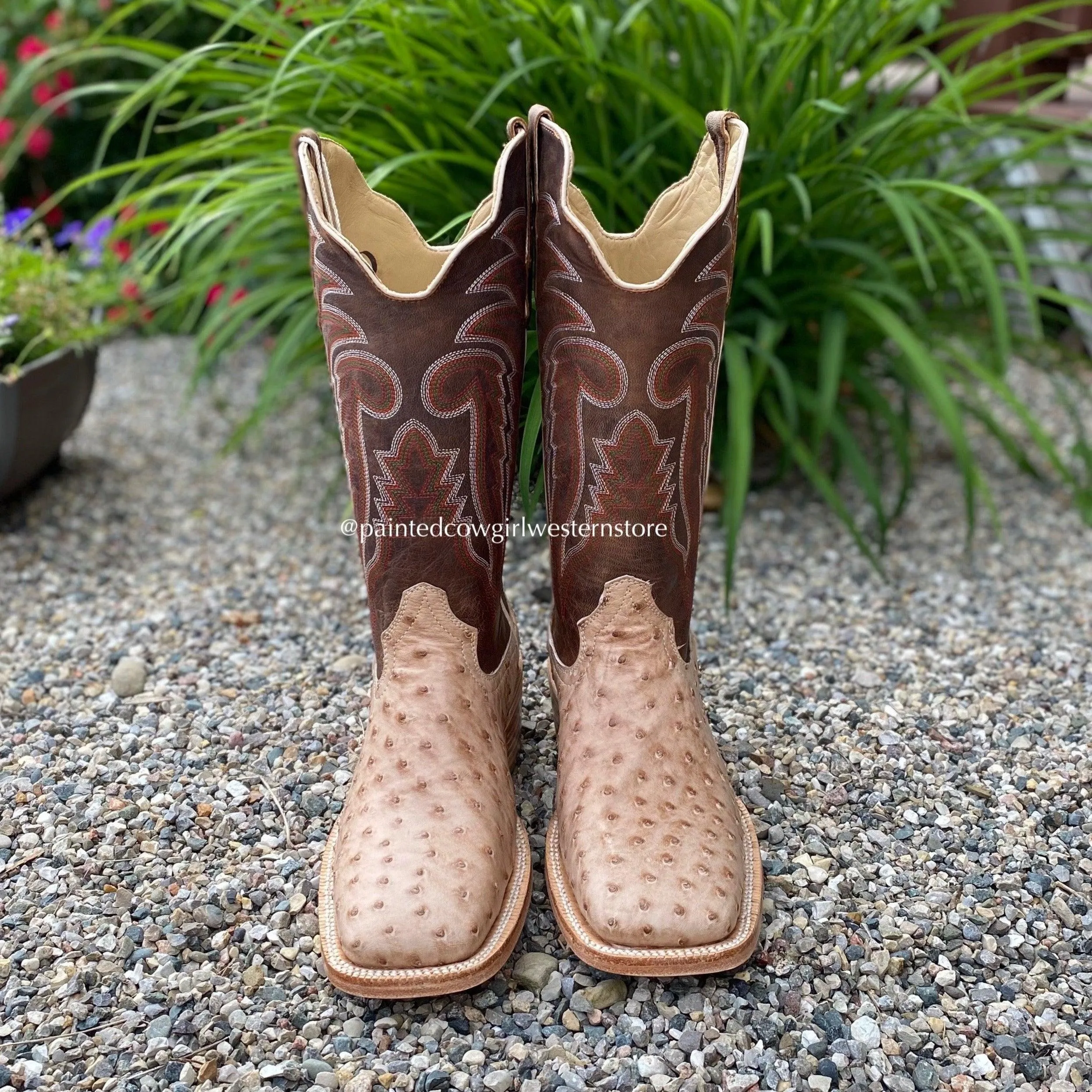 R. Watson Men's Sand Bruciato Full Quill Ostrich Wide Square Toe Western Cowboy Boots RW4515-2