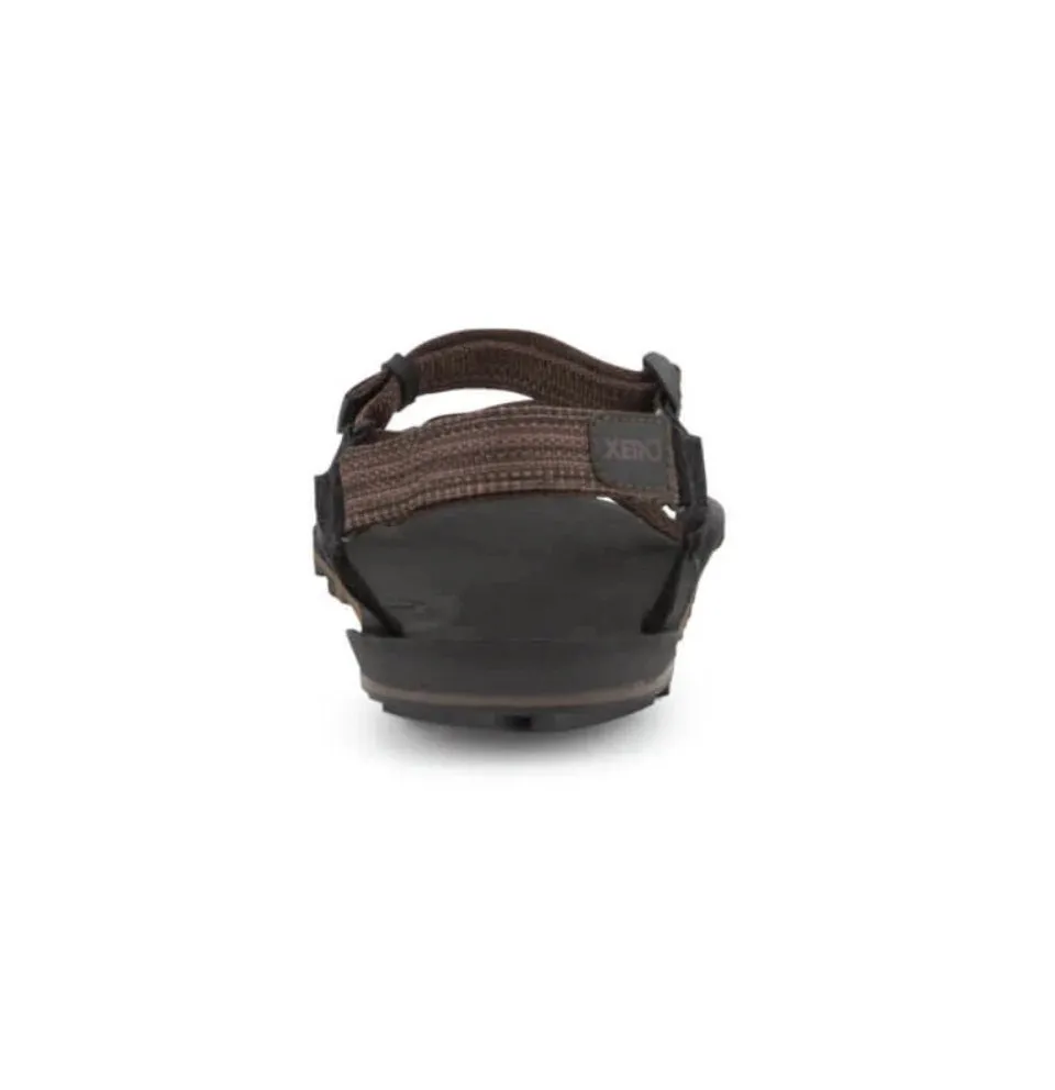 Xero Sandals - Z-Trail EV - Multi-Brown - Men's